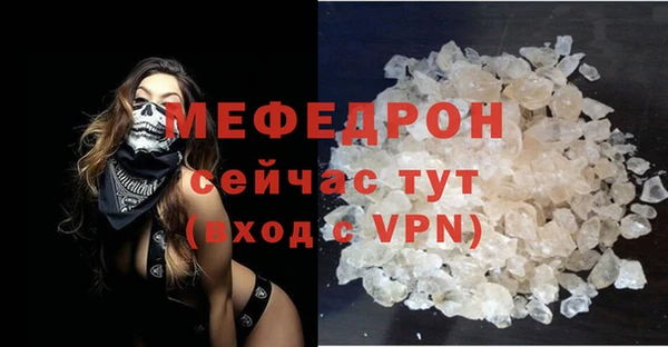 стаф Касимов