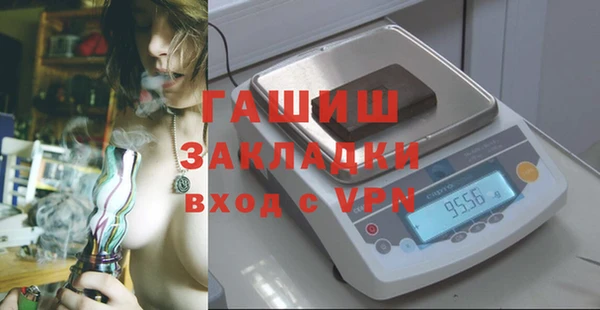 стаф Касимов