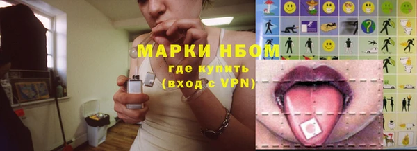 стаф Касимов