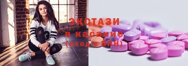 стаф Касимов
