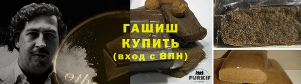 стаф Касимов