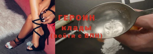 стаф Касимов