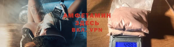 стаф Касимов