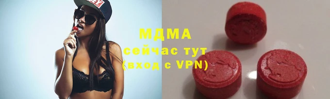 стаф Касимов