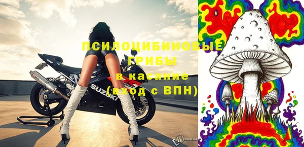 стаф Касимов