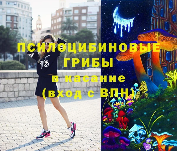 стаф Касимов