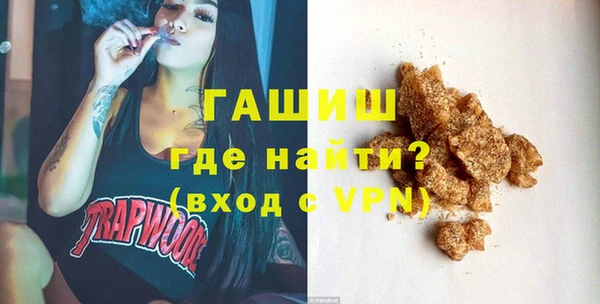 стаф Касимов