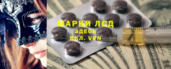 стаф Касимов