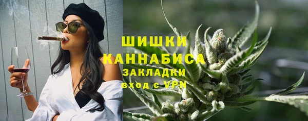 стаф Касимов
