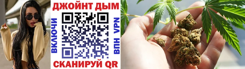 Каннабис индика  где найти наркотики  Ногинск 